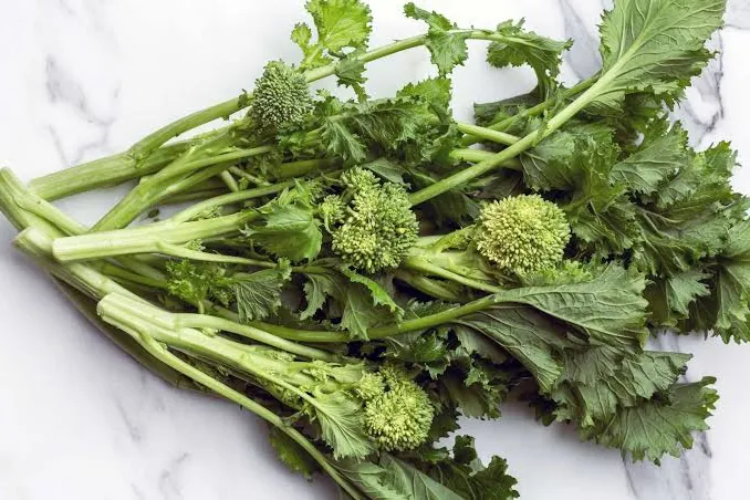 Rapini: 2. obrázek